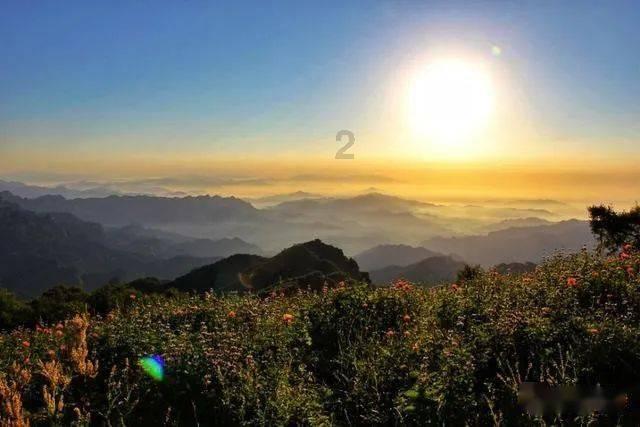 萌宠爱享受:鱼唇的人类,还不快快过来服侍主子?